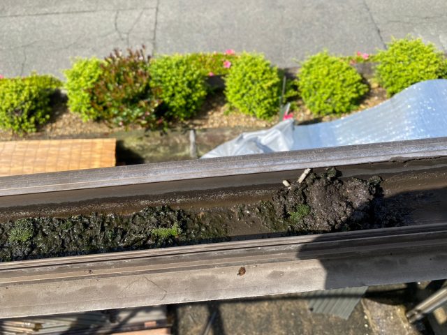 稲美町の苔が生えた屋根の枠組み